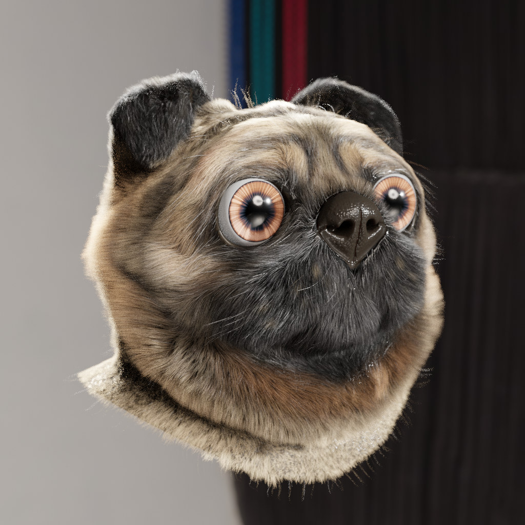 Pug head (with fur) preview image 2